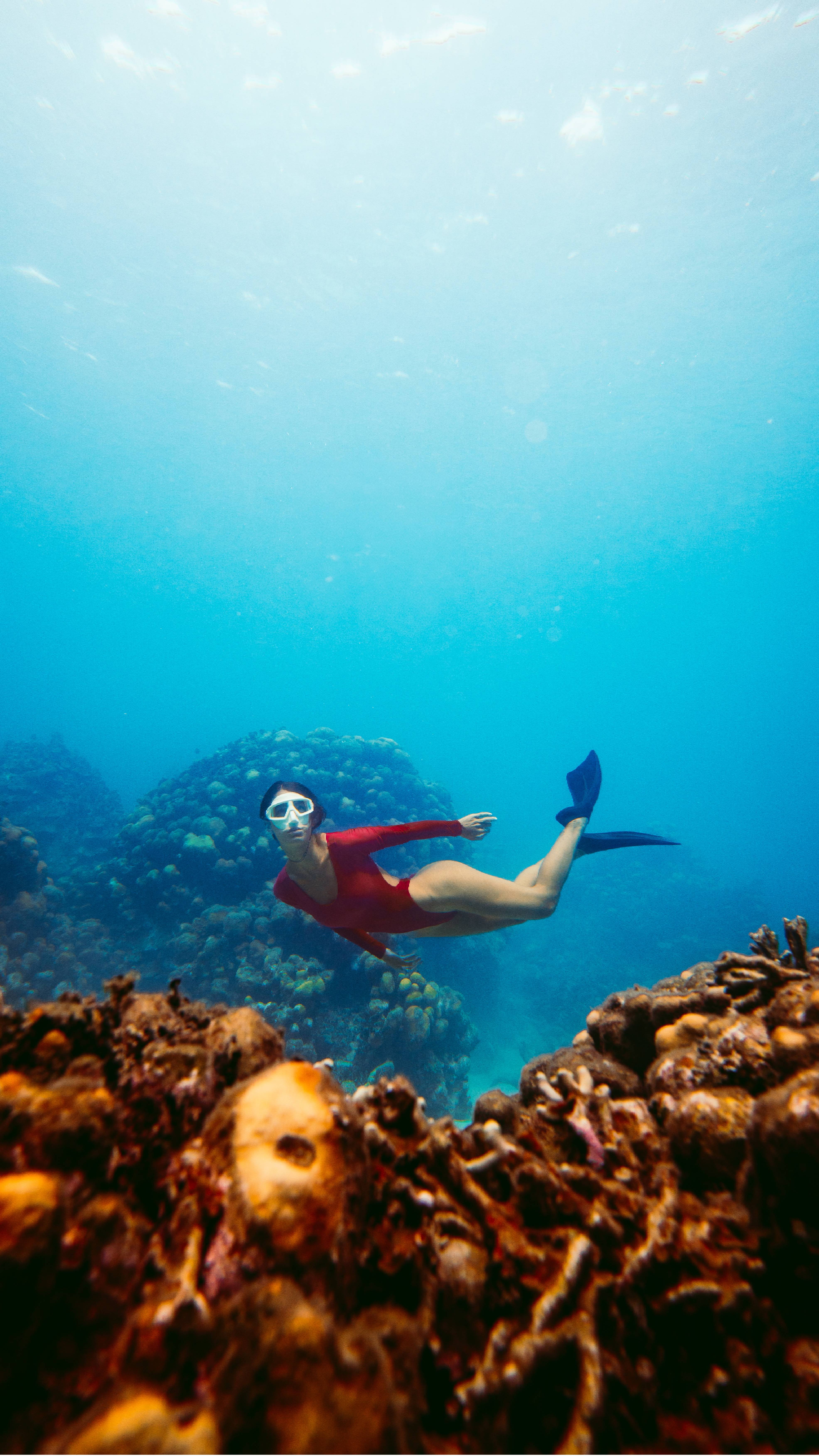 buceo